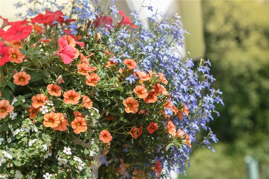 Urban Gardening – Blumenampel aus Konservendosen