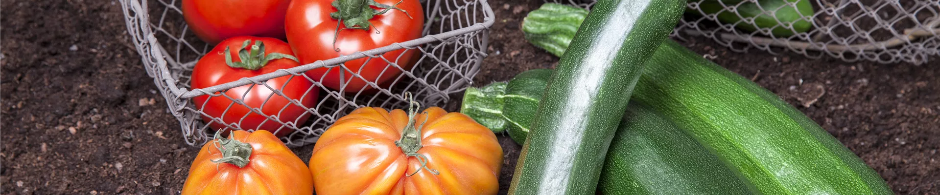 Gemüsemix (Tomaten, Zucchini) Gemüsemix (Tomaten, Zucchini)