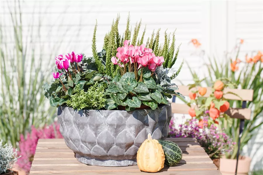 Aus alt mach neu: Blumenkübel nicht wegwerfen!