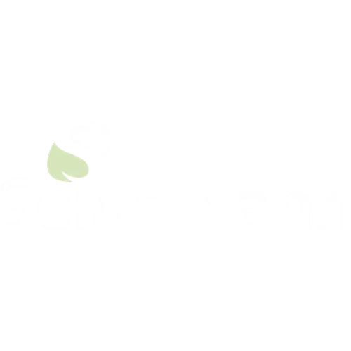 Phlox paniculata 'Flame Lilac' - Kopie