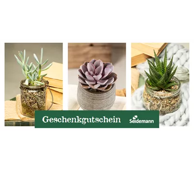 Individueller Gutschein