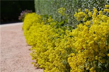 Blackbox-Gardening – die kreative Idee mit den großen Überraschungseffekten Blackbox-Gardening – die kreative Idee mit den großen Überraschungseffekten