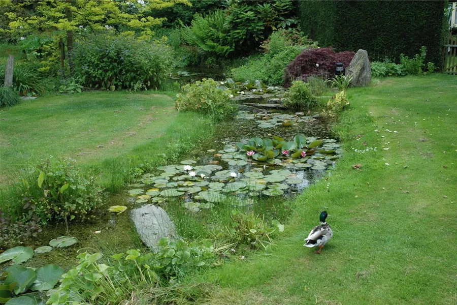 Der Bachlauf im Garten – Wasser bringt Ruhe und Erholung